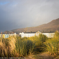 Buy canvas prints of Barmouth in dunes by Alan Dunnett