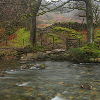 Buy canvas prints of Path from the Esk by Alan Dunnett