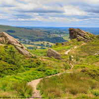 Buy canvas prints of Ramshaw path by Alan Dunnett