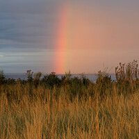 Buy canvas prints of The Verdant Pasture's Rainbow by Alan Dunnett