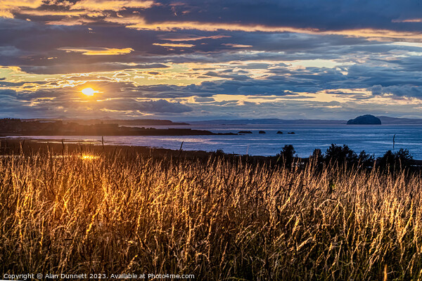 Golden Hour Over Verdant Pasture over Dunbar Picture Board by Alan Dunnett