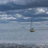 Buy canvas prints of Sail to Bamburgh by Alan Dunnett
