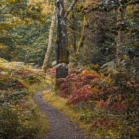 Buy canvas prints of The path of transition to Autumn by Alan Dunnett