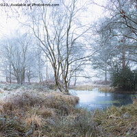Buy canvas prints of Frozen Pond by Alan Dunnett