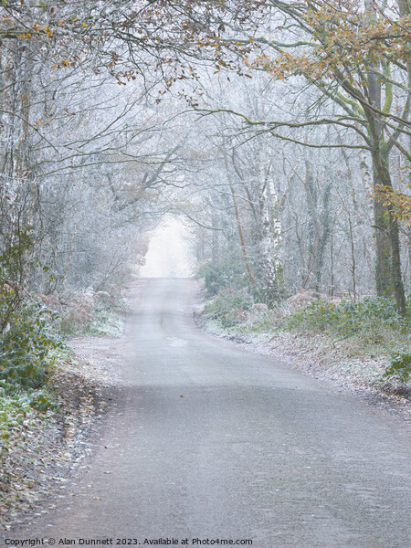 Frosty woodland road Picture Board by Alan Dunnett