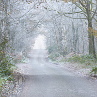 Buy canvas prints of Frosty woodland road by Alan Dunnett