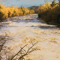 Buy canvas prints of Aysgarth Low Force by Alan Dunnett