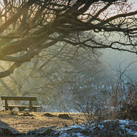 Buy canvas prints of Winter sunlight and bench by Alan Dunnett