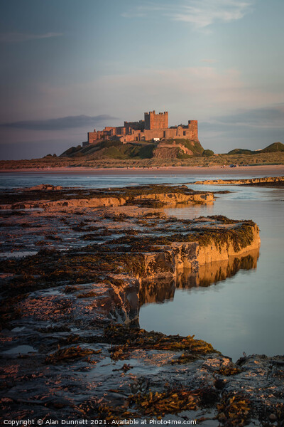 Bamburgh Castle at sunset Picture Board by Alan Dunnett