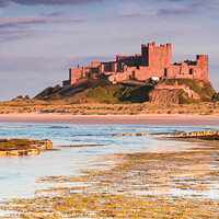 Buy canvas prints of Bamburgh Castle, Northumbria at sunset by Alan Dunnett