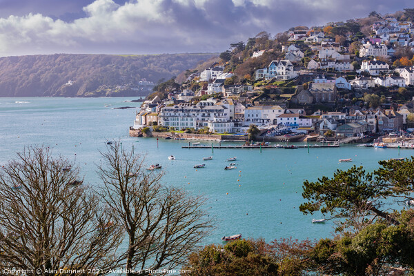 Salcombe and surrounding harbour Picture Board by Alan Dunnett