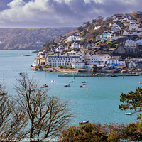 Buy canvas prints of Salcombe and surrounding harbour by Alan Dunnett