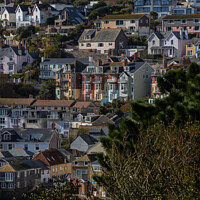 Buy canvas prints of Salcombe from Snapes Point climbing the hill by Alan Dunnett