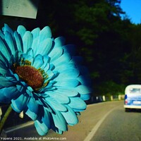 Buy canvas prints of VW Flower by Hannah Youens