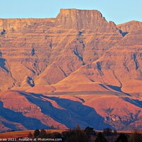 Buy canvas prints of Central Drakensberg in Winter from Champagne Sports Resort South Africa by Pieter Marais
