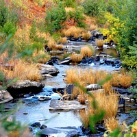 Buy canvas prints of Stream in Central Drakensberg South Africa in Wint by Pieter Marais