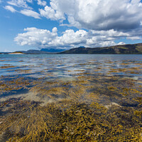 Buy canvas prints of Loch Eishort seaweed  and Cuillin, Skye by Photimageon UK