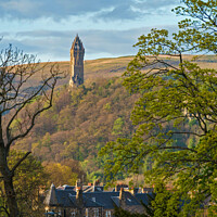 Buy canvas prints of The Wallace Monument, Stirling, Scotland by Photimageon UK