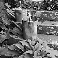 Buy canvas prints of Old watering cans on stone steps by Photimageon UK
