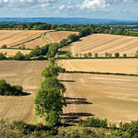 Buy canvas prints of Leicestershire Countryside by Photimageon UK