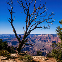 Buy canvas prints of Grand Canyon view by Photimageon UK