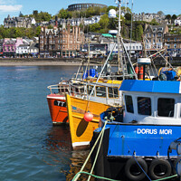 Buy canvas prints of Fishing Boats Oban Harbour, Scotland by Photimageon UK