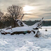 Buy canvas prints of Derbyshire Winter scene by Photimageon UK