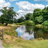 Buy canvas prints of River Lin, Bradgate Park, Leicestershire by Photimageon UK