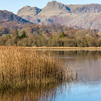 Buy canvas prints of Elterwater and Langdale Pikes, Cumbria by Photimageon UK