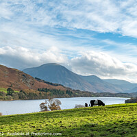 Buy canvas prints of Loweswater in the Lake District by Photimageon UK