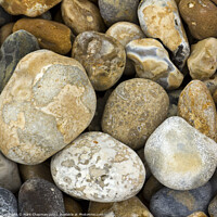 Buy canvas prints of Colourful flint beach pebbles, Eastbourne, England by Photimageon UK