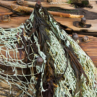 Buy canvas prints of Driftwood and fishing net, Isle of Colonsay, Scotland by Photimageon UK