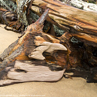 Buy canvas prints of Shipwreck timbers on Balnahard Beach, Isle of Colonsay, Scotland by Photimageon UK