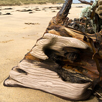 Buy canvas prints of Shipwreck timbers on Balnahard Beach, Isle of Colonsay, Scotland by Photimageon UK