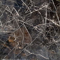 Buy canvas prints of Thin broken ice fragments by Photimageon UK
