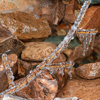 Buy canvas prints of Ice encrusted twig and rocks by Photimageon UK
