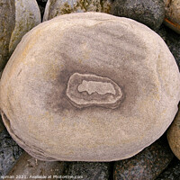 Buy canvas prints of Eroded pebble rock art, Isle of Skye, Scotland by Photimageon UK