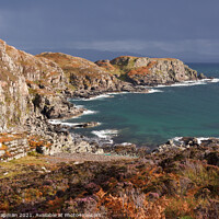 Buy canvas prints of Sunlit heather and dark skies over Camas Daraich bay and headland, Isle of Skye, Scotland, UK by Photimageon UK