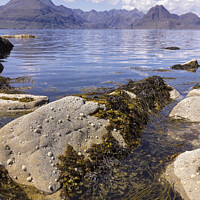 Buy canvas prints of Cuillin Mountains from Elgol, Isle of Skye by Photimageon UK