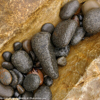Buy canvas prints of Grey pebbles on yellow rock, Bearreraig bay, Skye by Photimageon UK