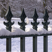 Buy canvas prints of Snow capped metal fence railing by Photimageon UK