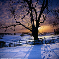 Buy canvas prints of Tree silhouette snowy Winter sunset, Leicestershir by Photimageon UK