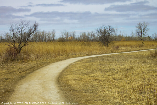 Transcona Bioreserve in Spring Picture Board by STEPHEN THOMAS