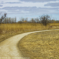 Buy canvas prints of Transcona Bioreserve in Spring by STEPHEN THOMAS