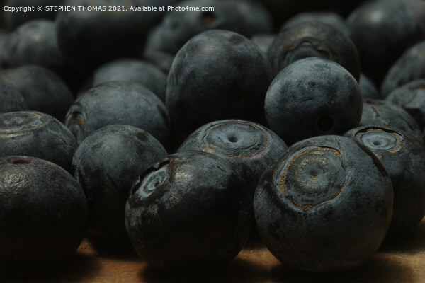 A Bunch of Blueberries Picture Board by STEPHEN THOMAS