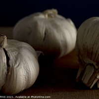 Buy canvas prints of Three Garlic Bulbs by STEPHEN THOMAS