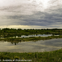 Buy canvas prints of Silver Spring Park, Birds Hill, MB by STEPHEN THOMAS