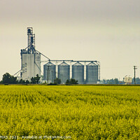 Buy canvas prints of The Paterson Grain Terminal, Rosser, MB by STEPHEN THOMAS