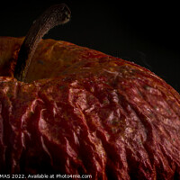 Buy canvas prints of Wrinkled Apple by STEPHEN THOMAS
