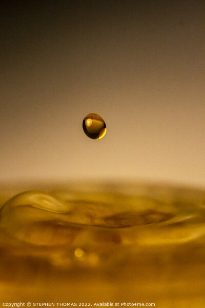 Drop of Gold Picture Board by STEPHEN THOMAS
